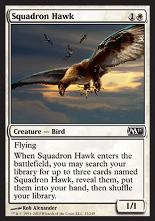Squadron Hawk | M11