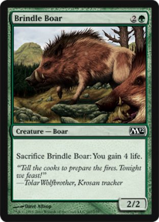 Brindle Boar | M12