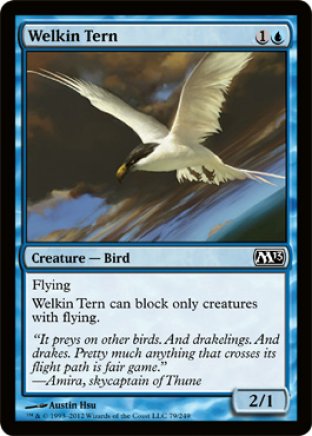 Welkin Tern | M13