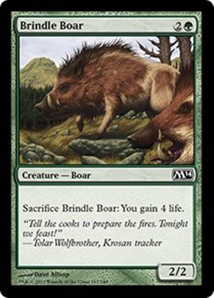 Brindle Boar | M14