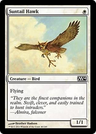 Suntail Hawk | M14