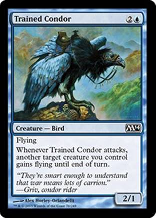 Trained Condor | M14
