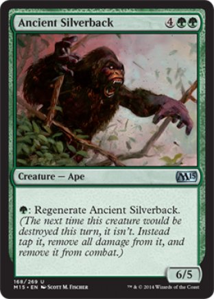 Ancient Silverback | M15