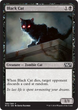 Black Cat | M15