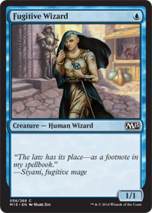 Fugitive Wizard | M15