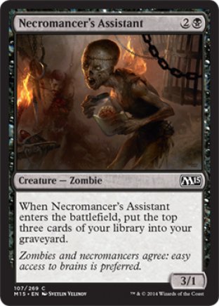 Necromancer’s Assistant | M15