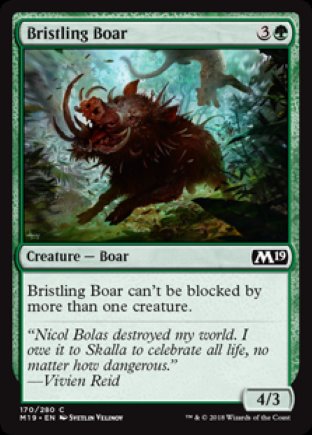 Bristling Boar | M19