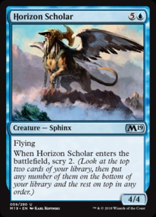 Horizon Scholar | M19