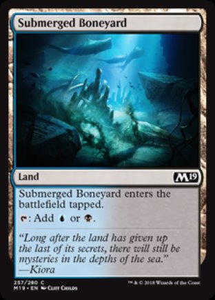 Submerged Boneyard | M19