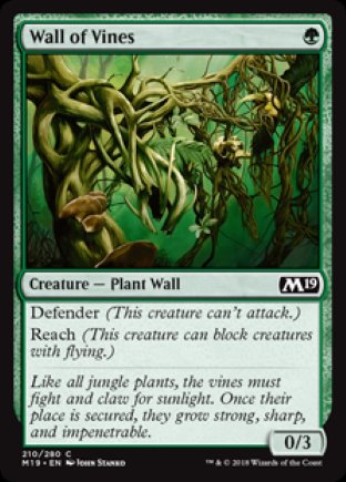 Wall of Vines | M19