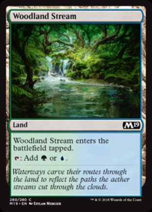 Woodland Stream | M19