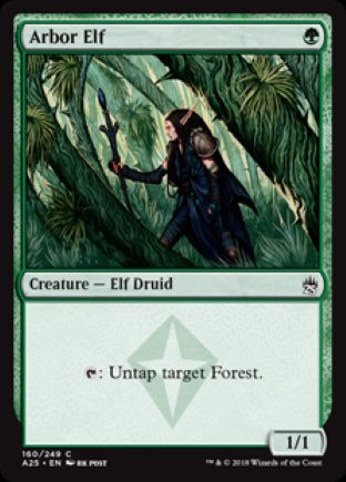 Arbor Elf | Masters 25