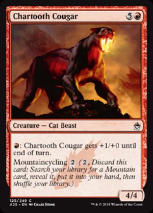 Chartooth Cougar | Masters 25