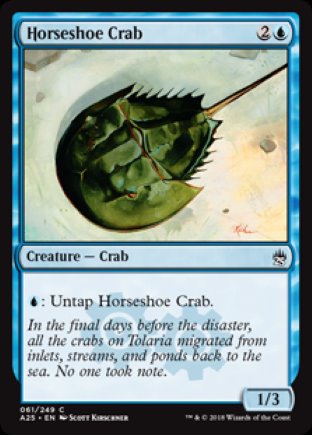 Horseshoe Crab | Masters 25