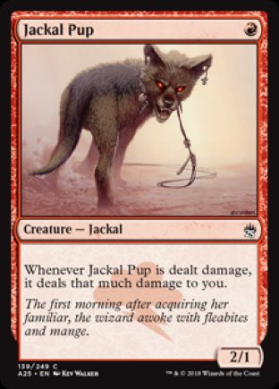 Jackal Pup | Masters 25