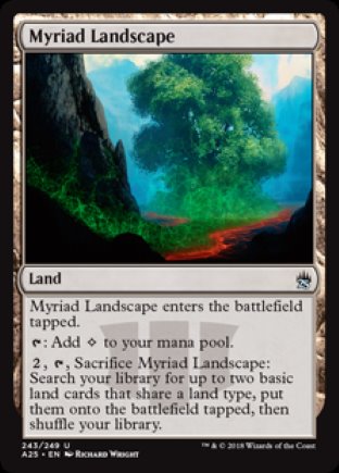 Myriad Landscape | Masters 25