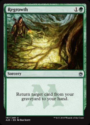 Regrowth | Masters 25