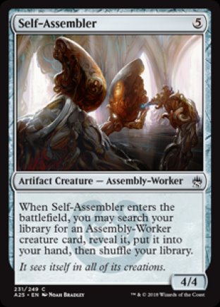 Self-Assembler | Masters 25