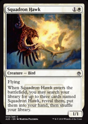 Squadron Hawk | Masters 25