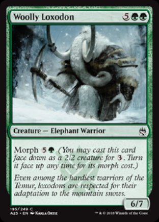 Woolly Loxodon | Masters 25