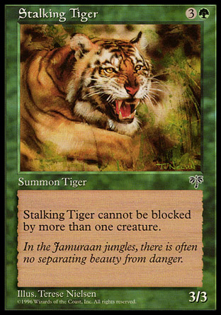Stalking Tiger | Mirage