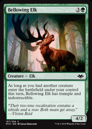 Bellowing Elk | Modern Horizons