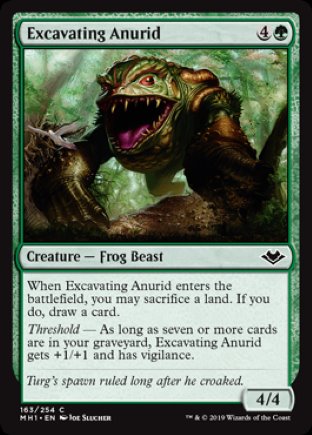 Excavating Anurid | Modern Horizons