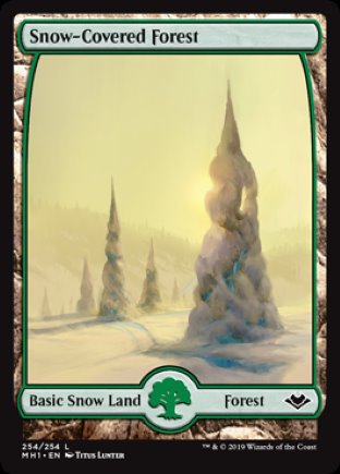 Snow-Covered Forest | Modern Horizons