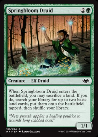 Springbloom Druid | Modern Horizons