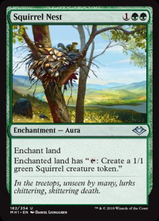 Squirrel Nest | Modern Horizons