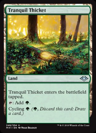 Tranquil Thicket | Modern Horizons