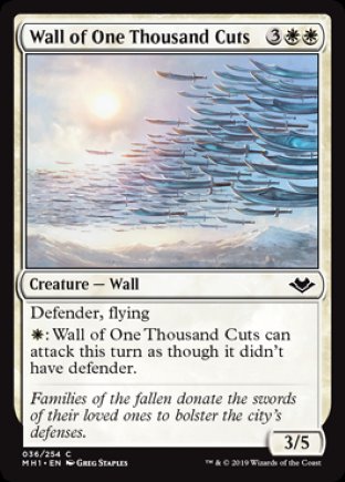 Wall of One Thousand Cuts | Modern Horizons