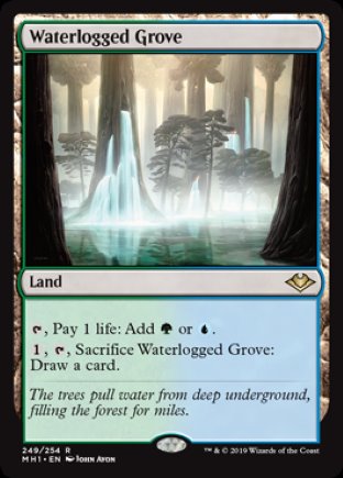 Waterlogged Grove | Modern Horizons