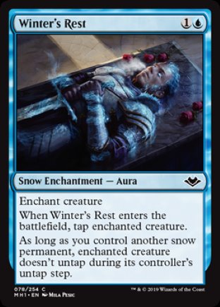 Winter’s Rest | Modern Horizons