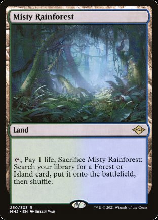 Misty Rainforest | Modern Horizons 2