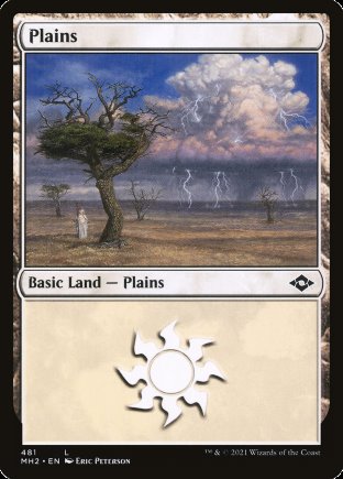 Plains | Modern Horizons 2