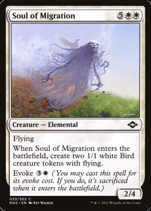 Soul of Migration | Modern Horizons 2