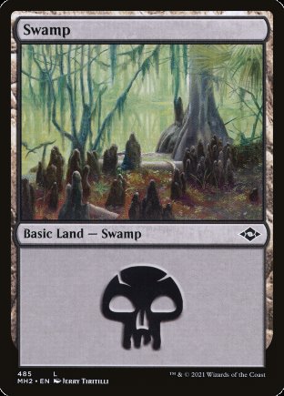 Swamp | Modern Horizons 2