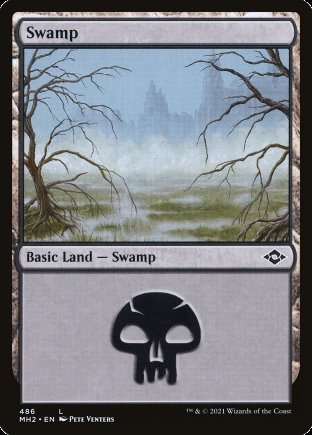 Swamp | Modern Horizons 2