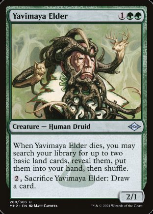 Yavimaya Elder | Modern Horizons 2