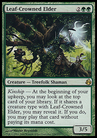 Leaf-Crowned Elder | Morningtide