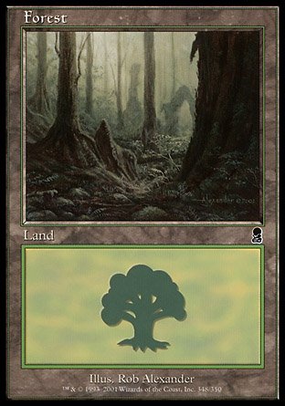 Forest | Odyssey