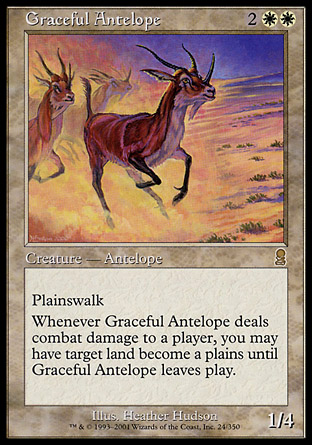 Graceful Antelope | Odyssey