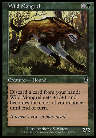 Wild Mongrel | Odyssey