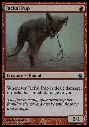 Jackal Pup | PD Fire Lightning