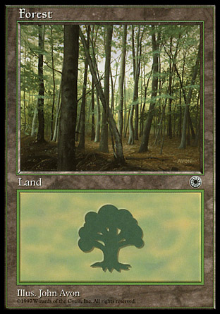 Forest | Portal I