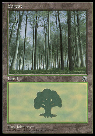 Forest | Portal I