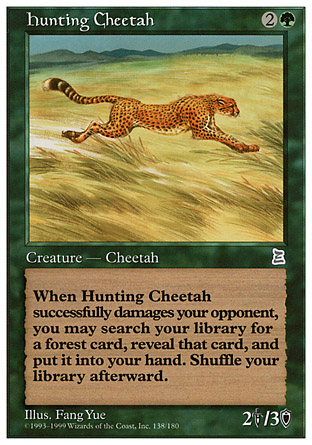 Hunting Cheetah | Portal III