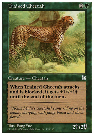 Trained Cheetah | Portal III