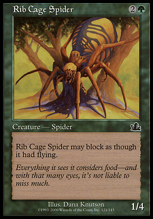 Rib Cage Spider | Prophecy